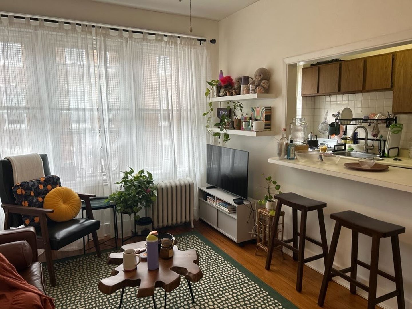 Boston Condo: 219 Kelton St