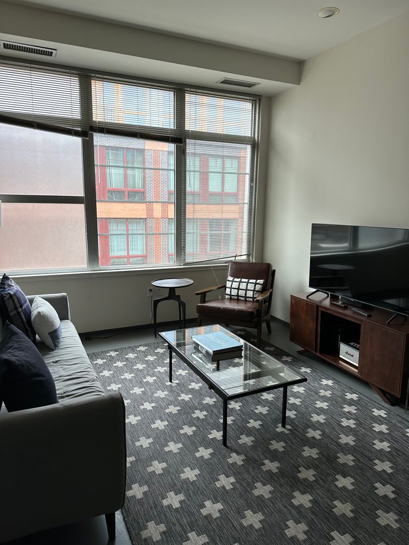 Boston Condo: 160 East Berkeley St.