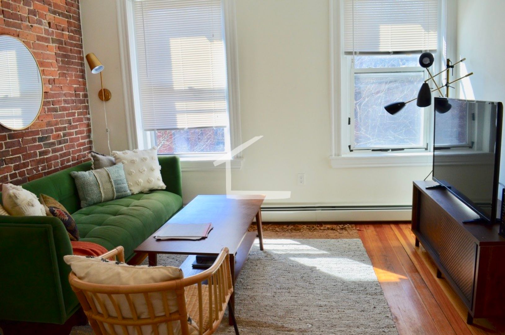 Boston Condo: 36 E Springfield St
