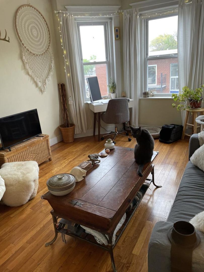 Boston Condo: 62 Woodstock Ave