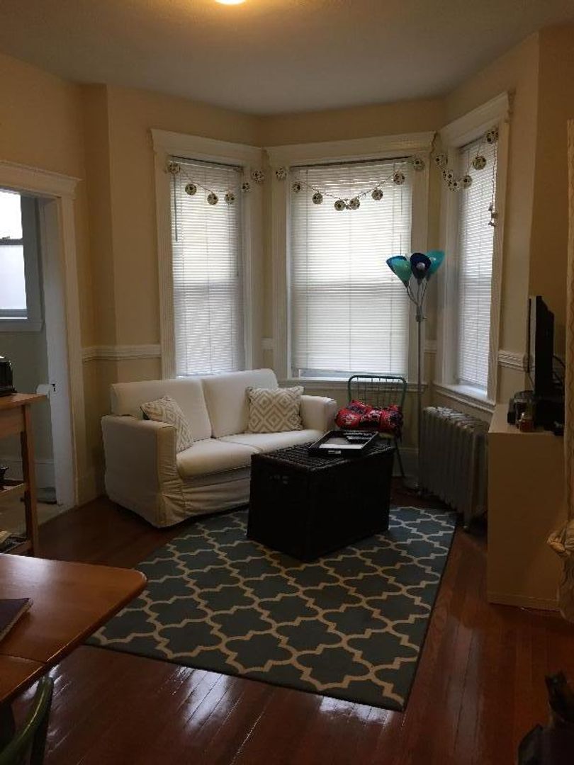Fenway Condo: 38 Hemenway St