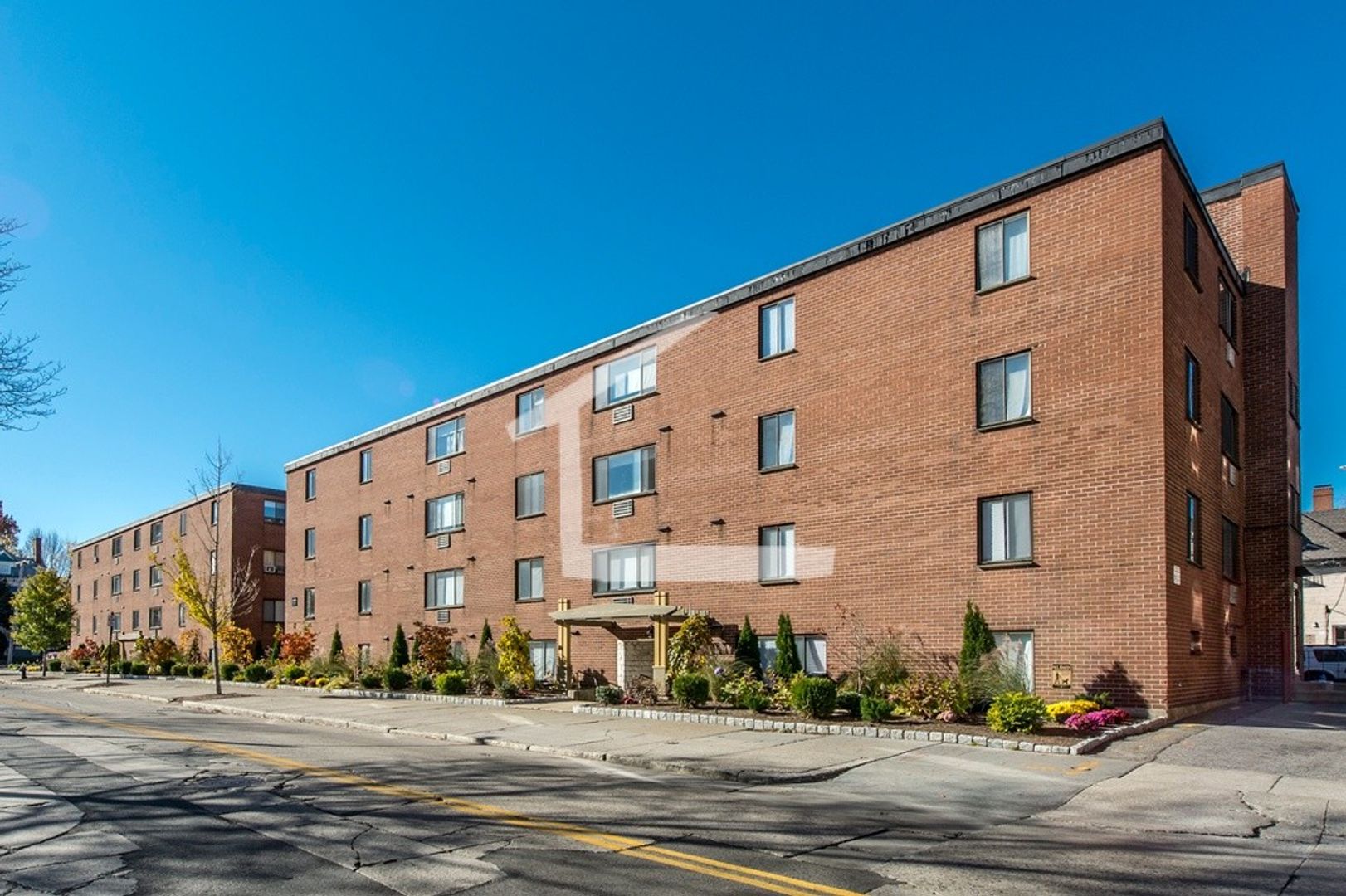 Brookline House: 230B Babcock St.