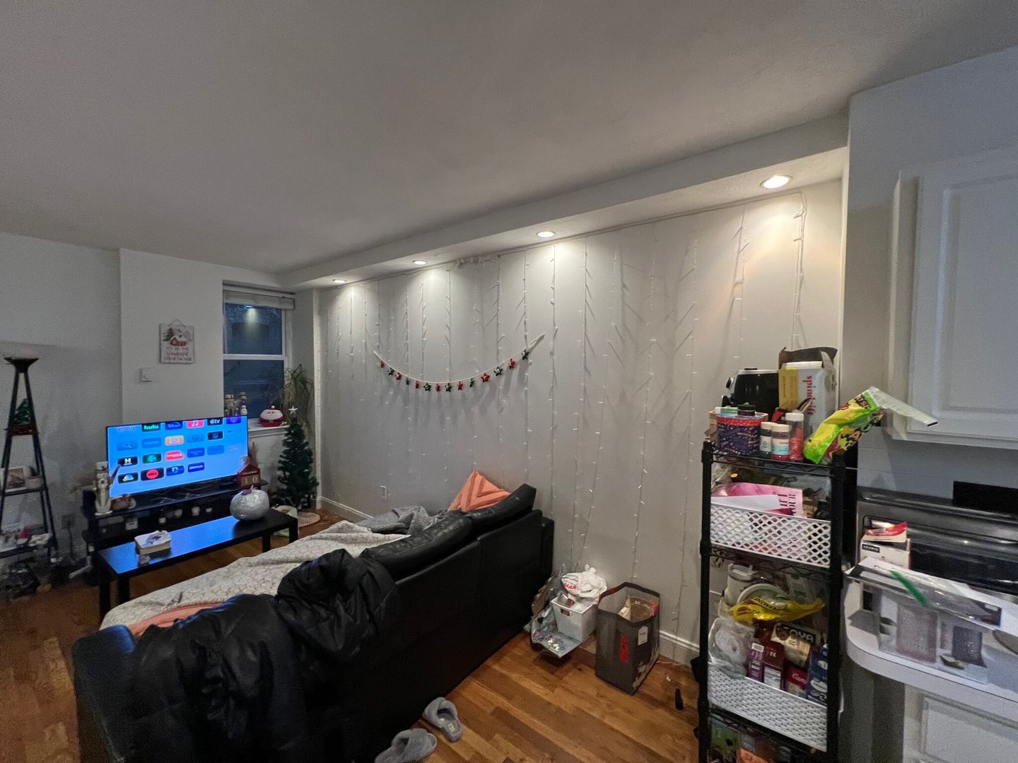 Boston Condo: 57 Westland Ave