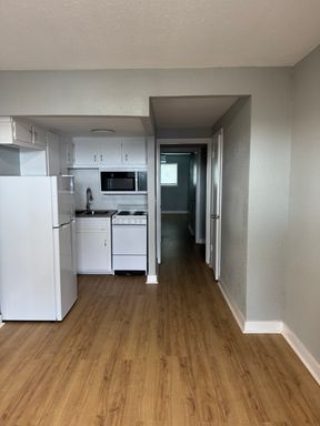 1 Bedroom 1 Bath Apartment