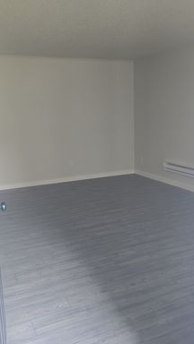 Renovated 2bd/1ba- $700 Move-In Special – photo 1