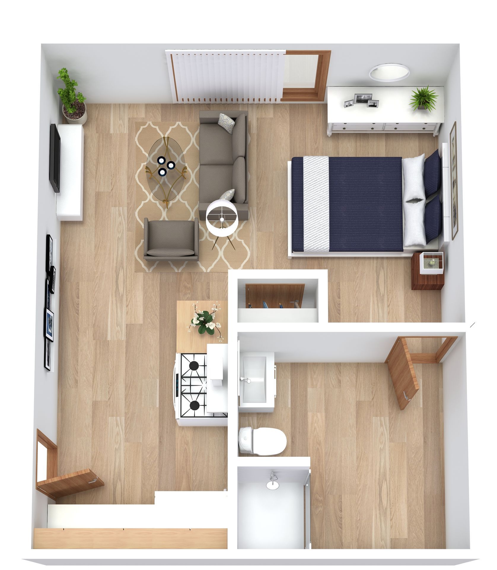 Monticello Apartment: 204 Locust St