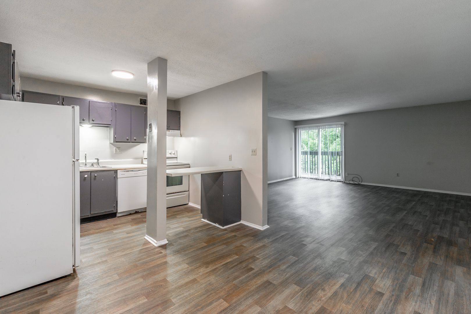 Chattanooga Apartment: 302 Dunlap Ave