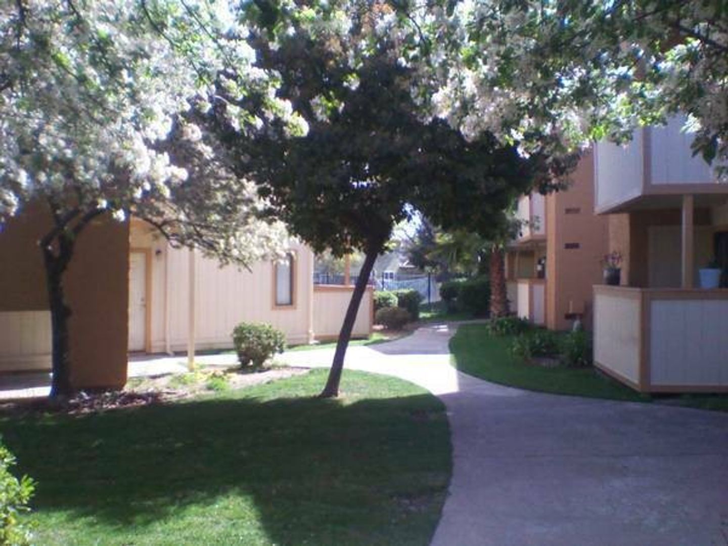 Sacramento Apartment: 3859 Annadale Ln