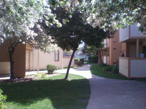 Completely Remodeled & Spacious 1 BR, 1 Bath in Sacramento – photo 1