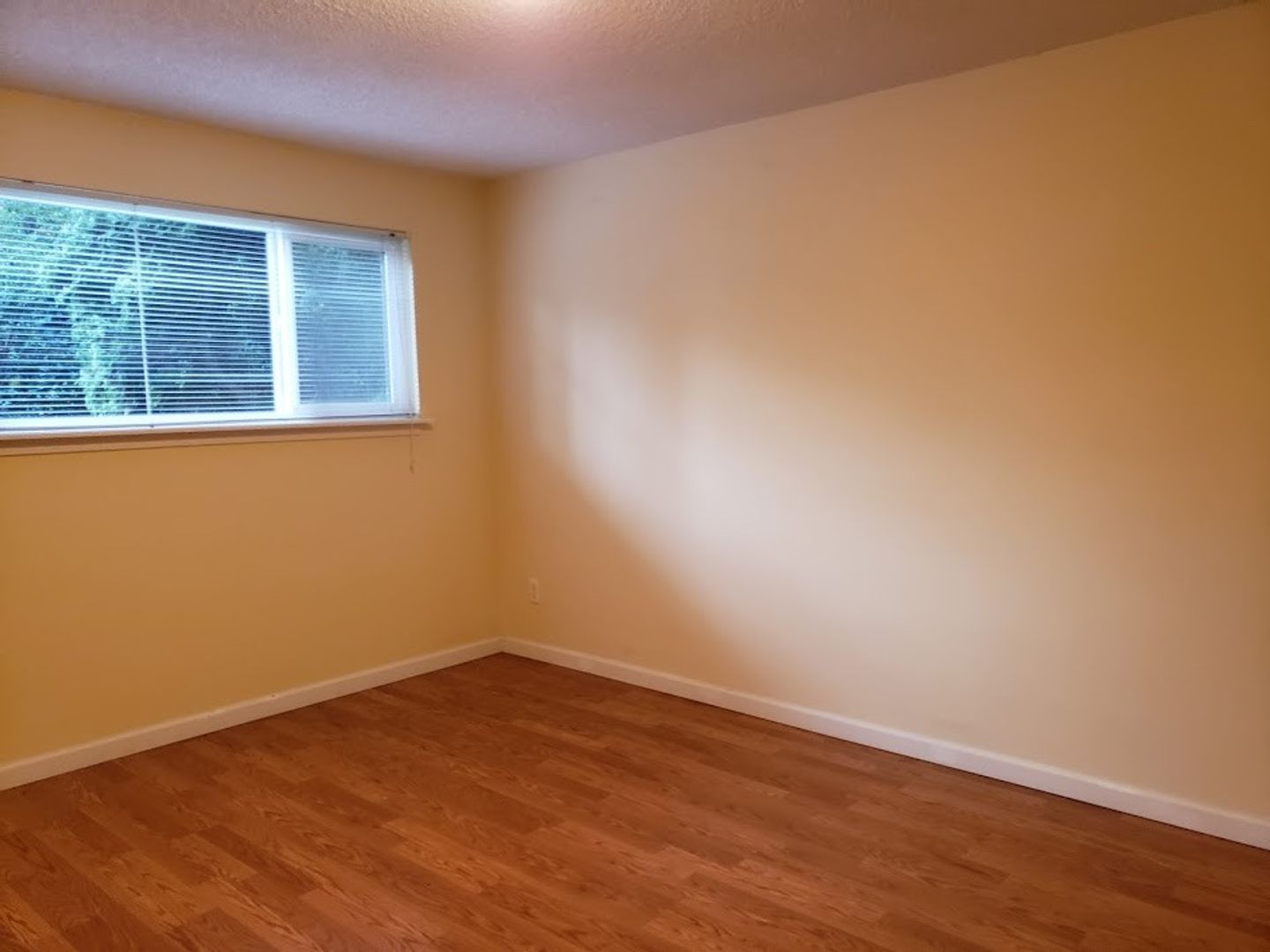 Seattle Apartment: 1001 Taylor Avenue North