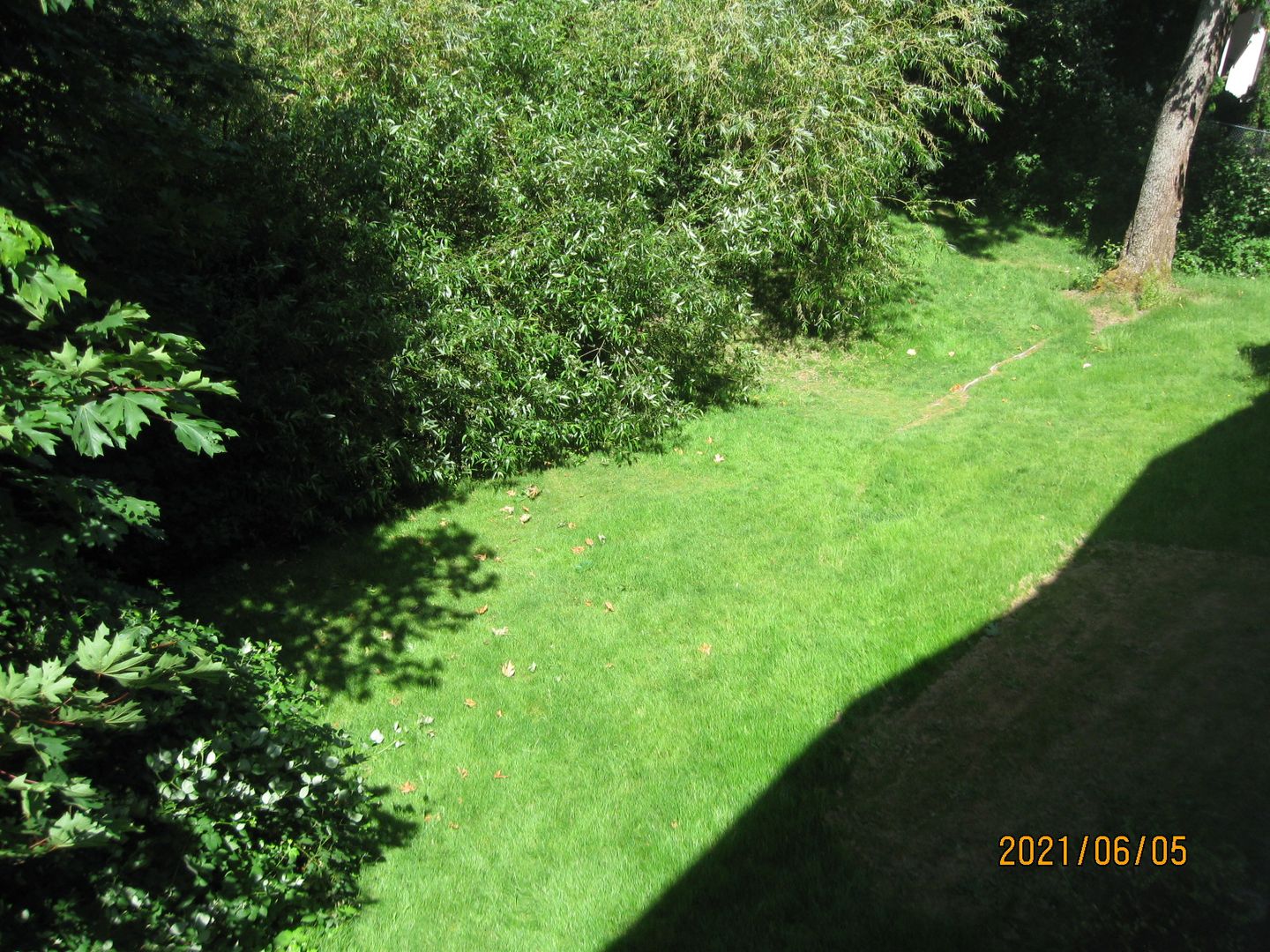 Bellevue Apartment: 417 Bellevue Way SE