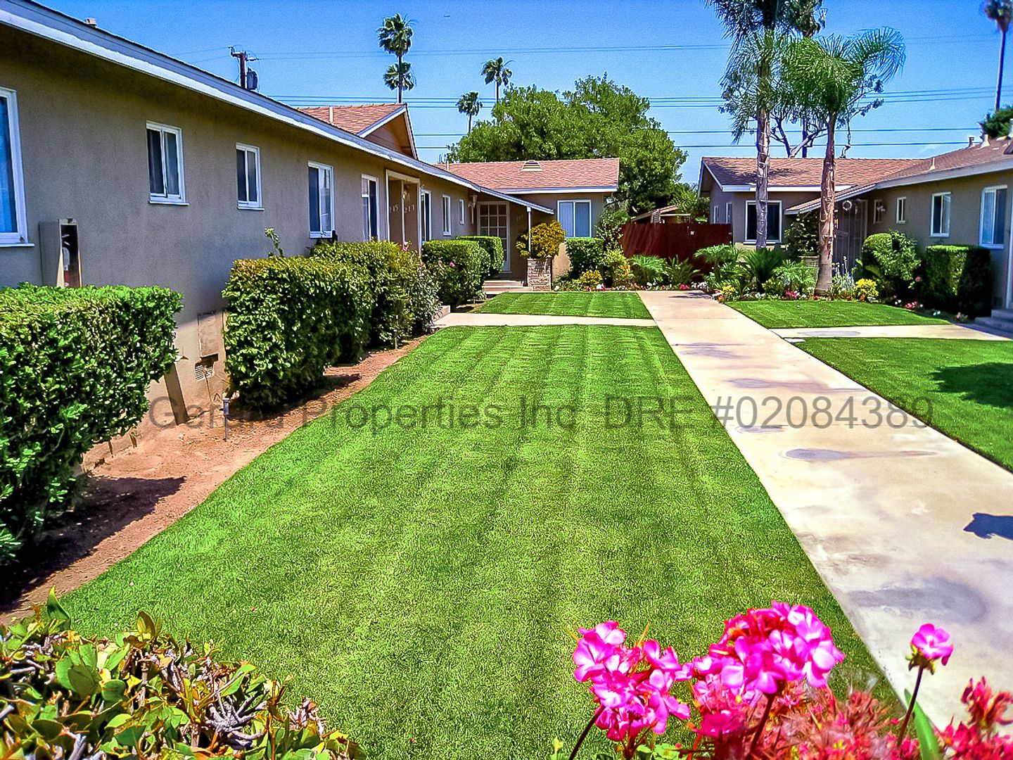 Orange Apartment: 217 Oak St S.