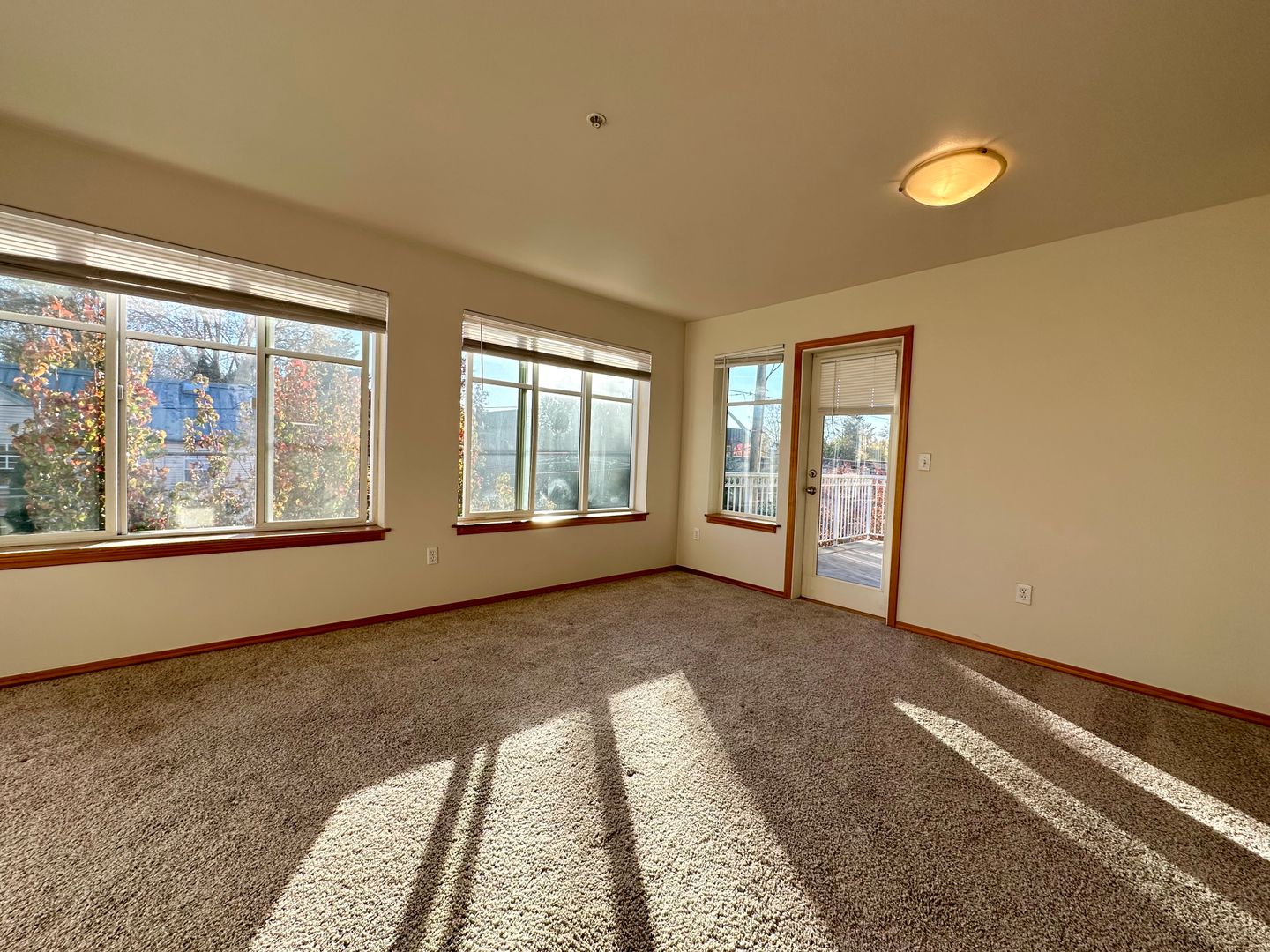 Varsity II Apartments 