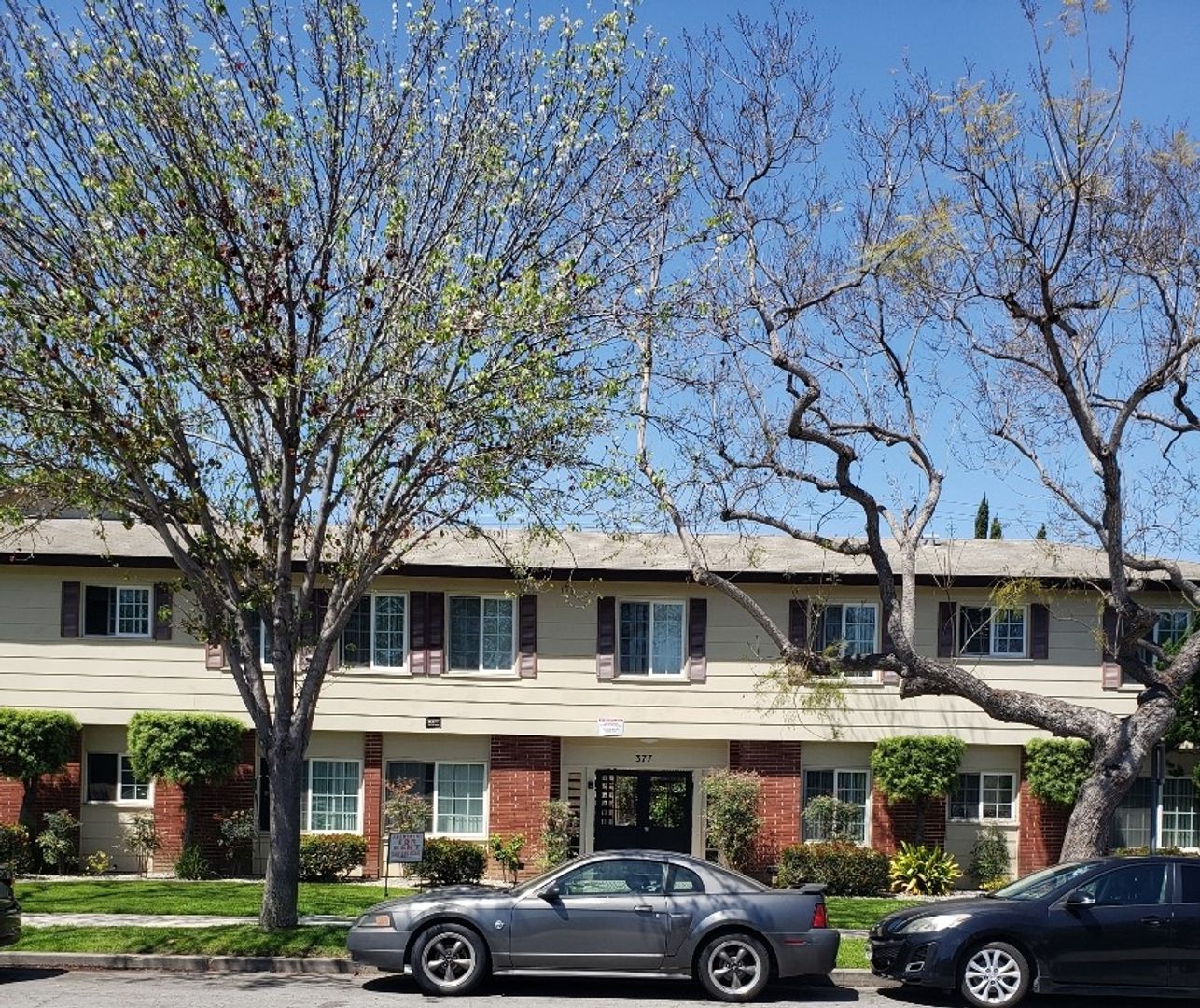 Long Beach Apartment: 377 Freeman Ave.