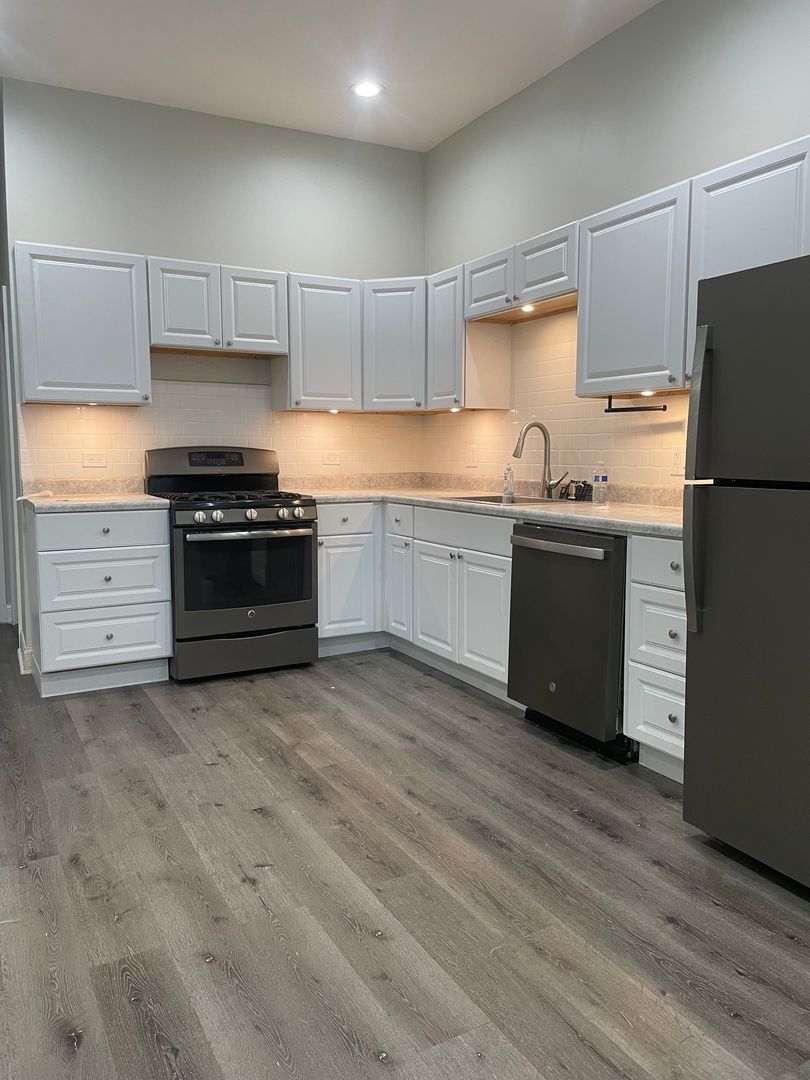 Chicago Apartment: 930 W 35th St