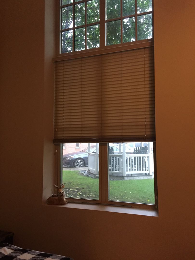 Glens Falls Apartment: 79 Warren Street