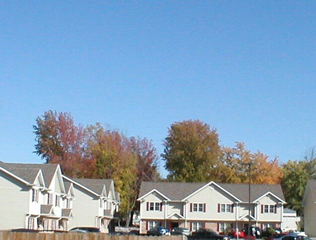 Carbondale Apartment: 614 E Park