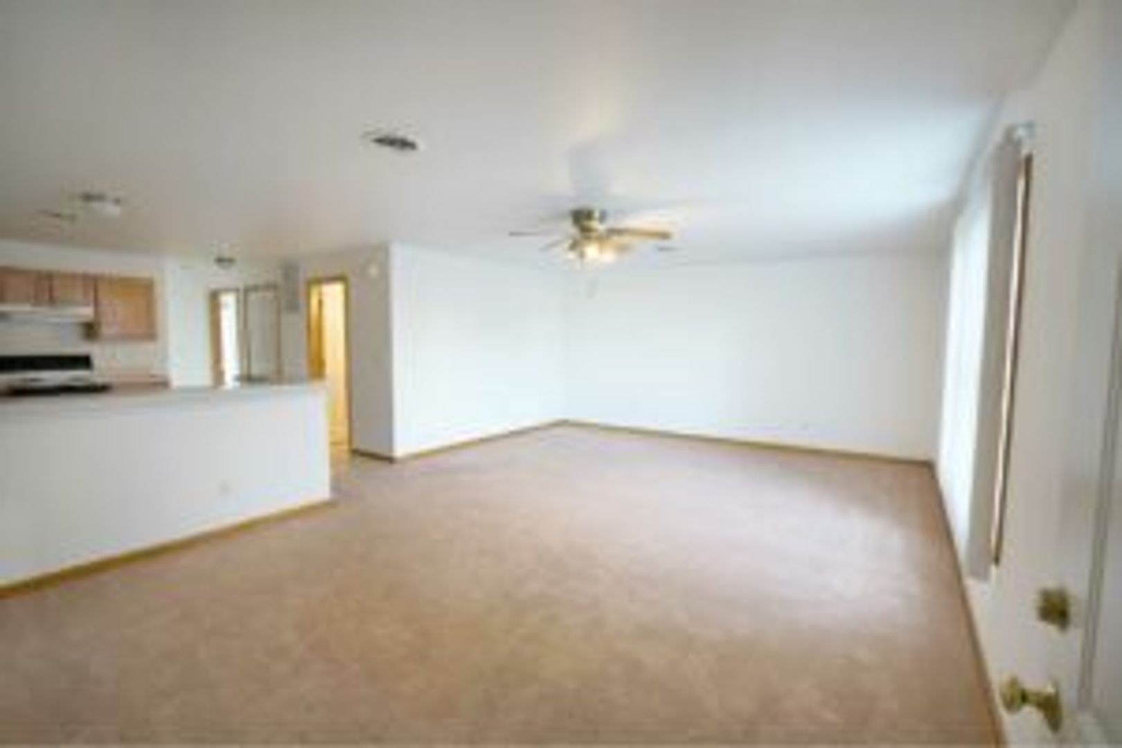 Carbondale Apartment: 614 E Park