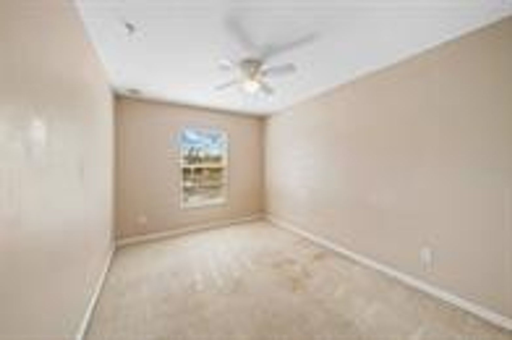 9434 Silver Buttonwood St photo 9