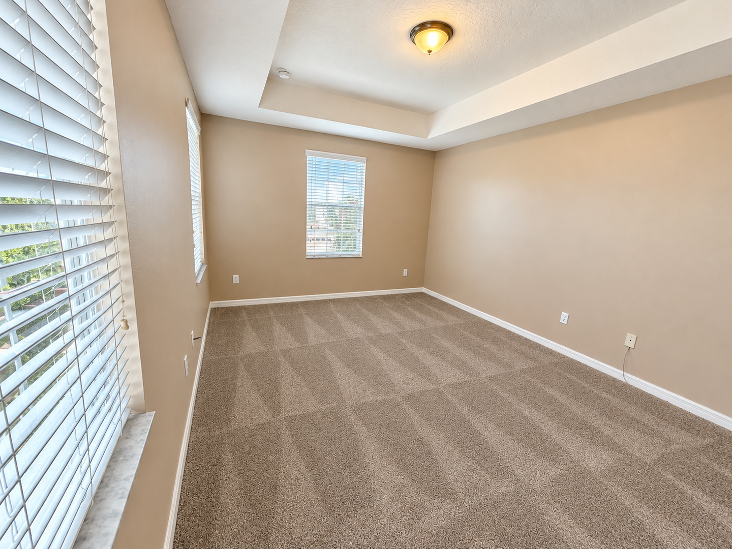 9434 Silver Buttonwood St photo 5