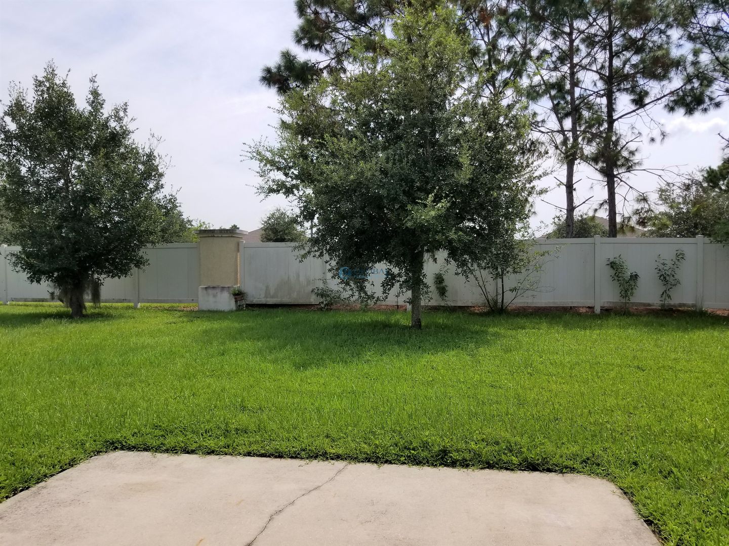 3856 Enchantment Lane photo 3