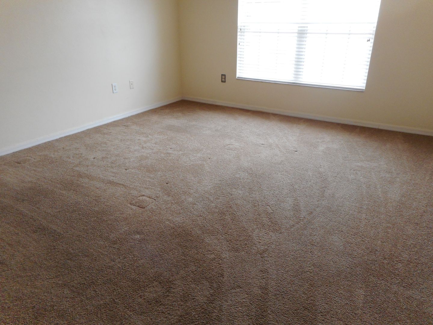 7995 SE 62nd Loop photo 11