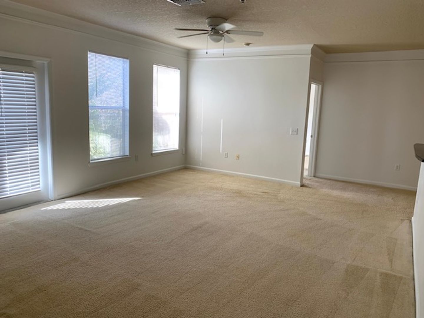 19935 Villa Isle Drive, Unit 306 photo 11