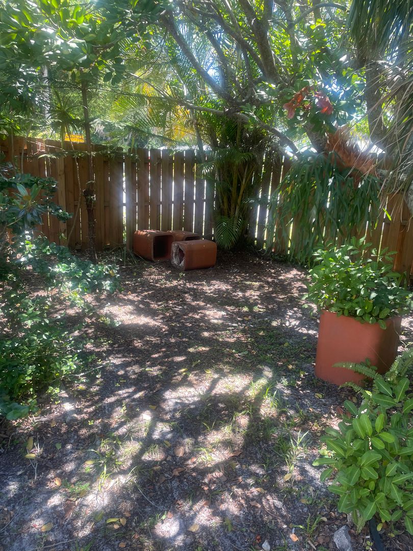 428 Court Street photo 11