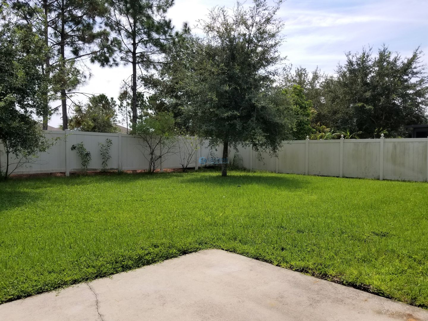 3856 Enchantment Lane photo 23