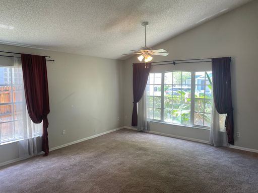 4343 Boca Woods Dr photo 8