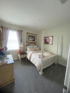 2994 Prelude Lane photo 12