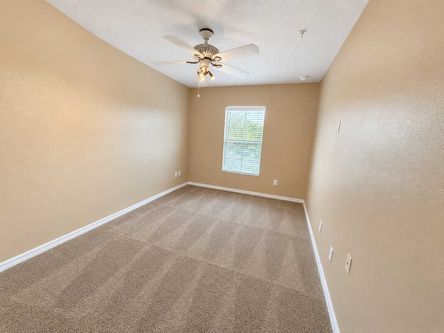 9434 Silver Buttonwood St photo 7