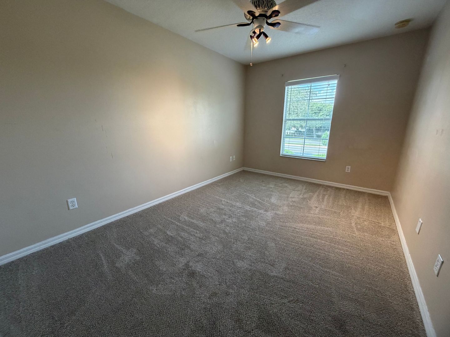 9434 Silver Buttonwood St photo 18