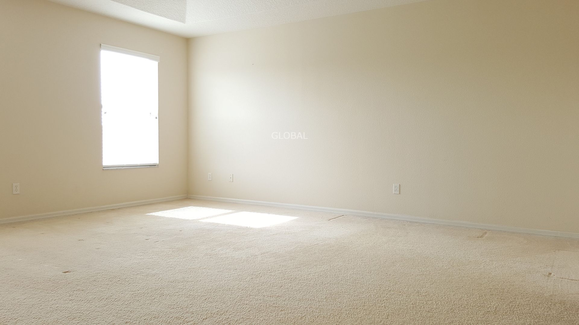 13241 Hatherton Circle photo 17