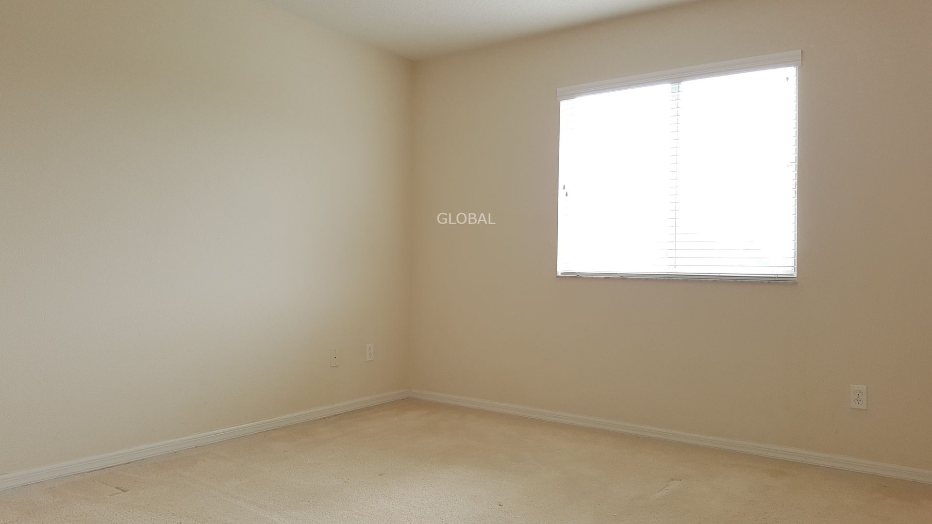 13241 Hatherton Circle photo 25