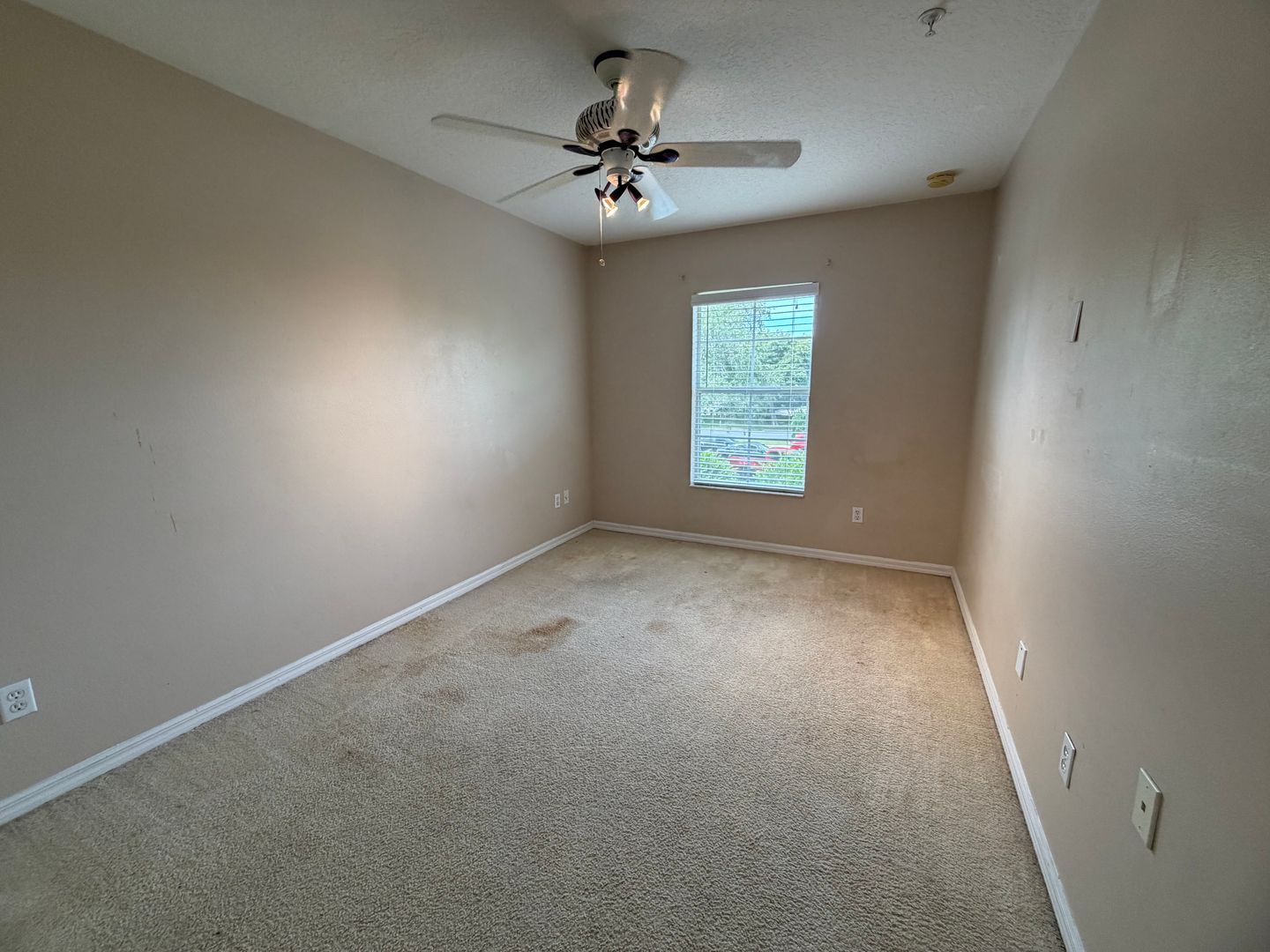 9434 Silver Buttonwood St photo 15