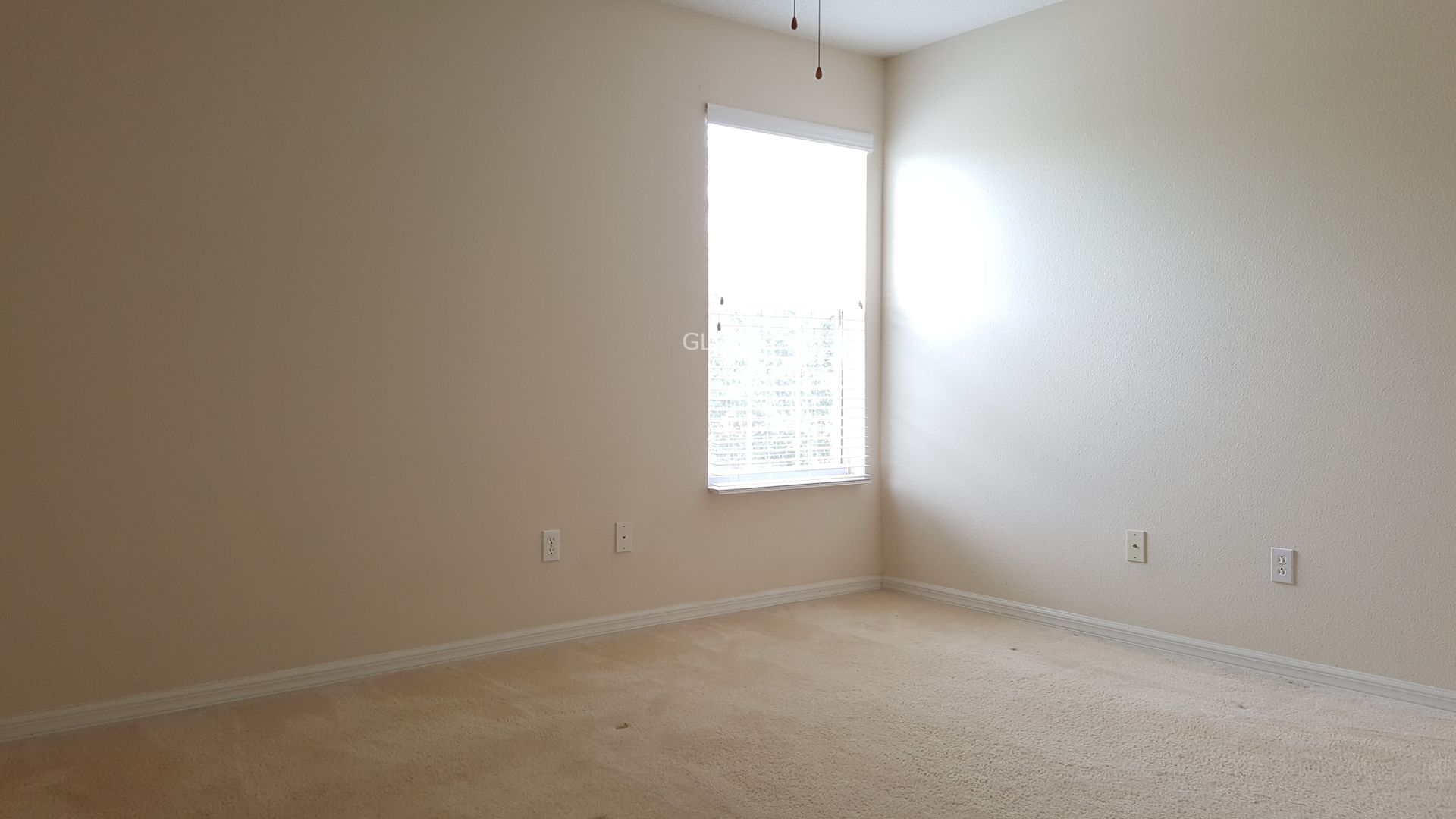 13241 Hatherton Circle photo 24