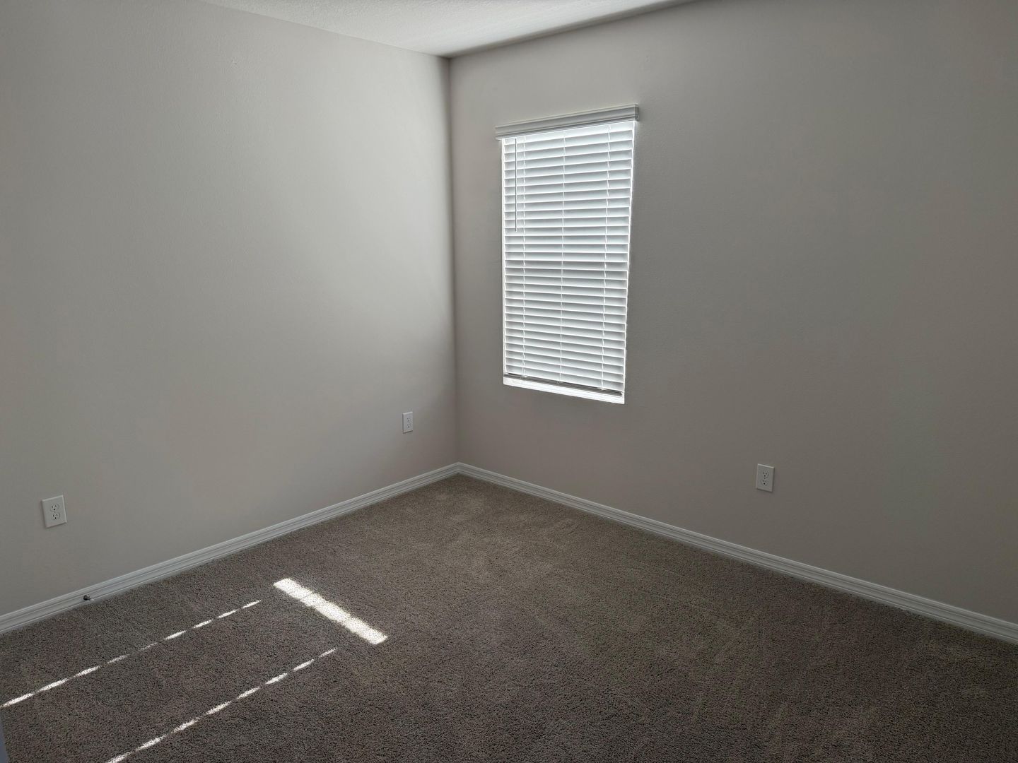 4019 Penelope Avenue photo 9