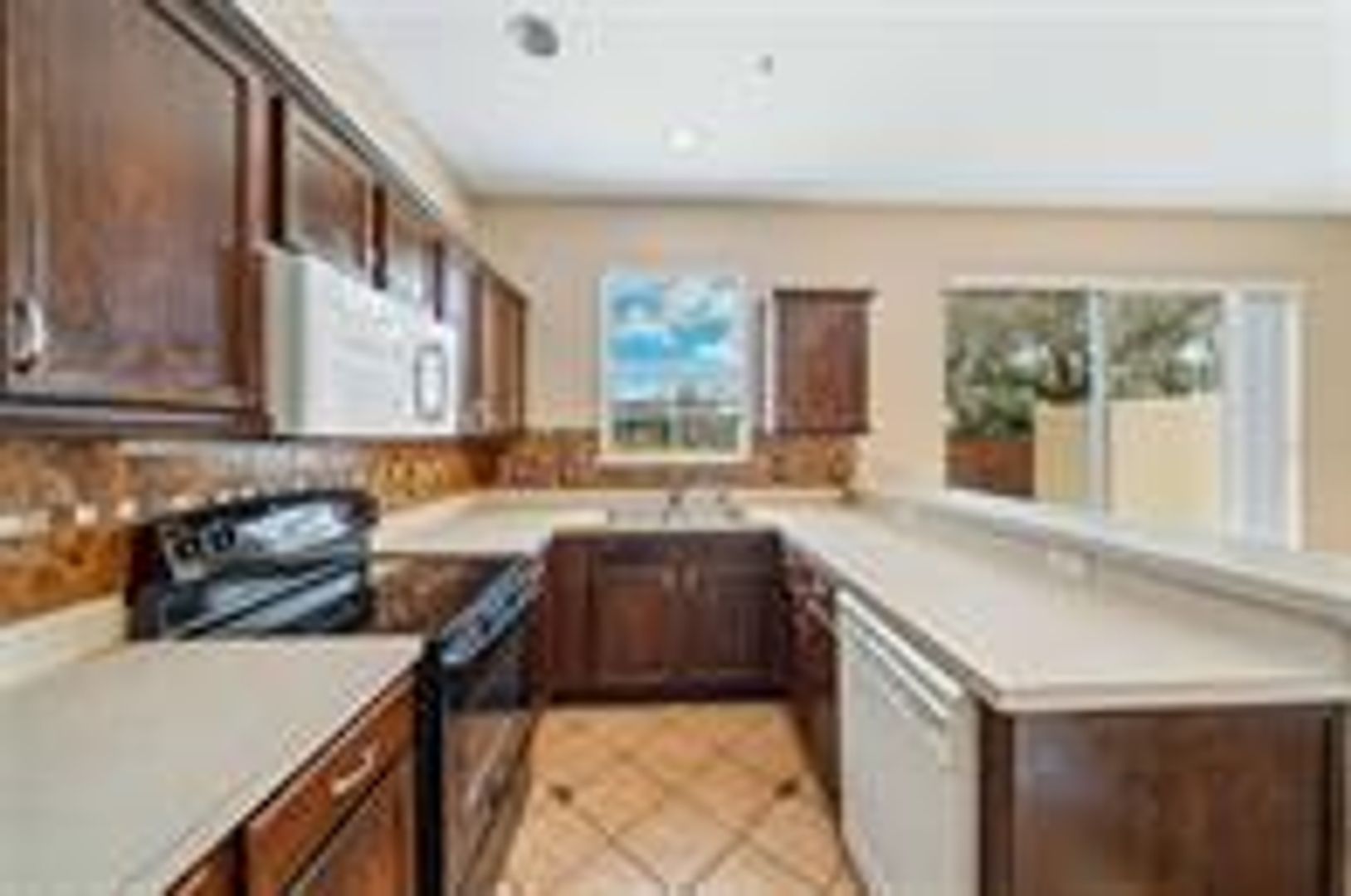 9434 Silver Buttonwood St photo 2