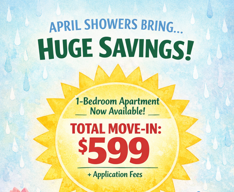 Don't let this deal wash away! $299 First Month Rent! – photo 1