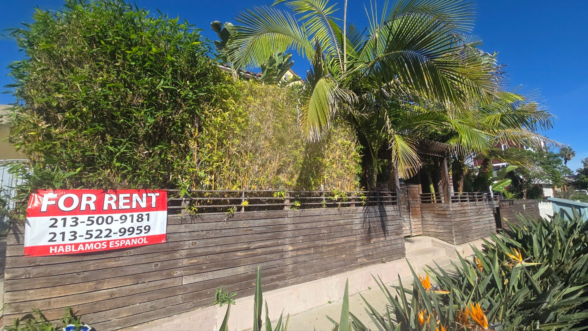 Los Angeles Apartment: 4537 Saint Elmo Dr