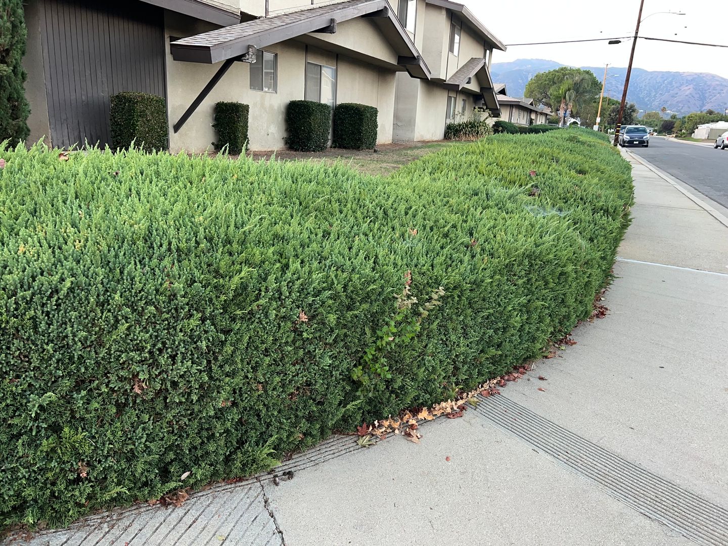 La Verne Apartment: 2401 - 2423 Pattiglen Avenue