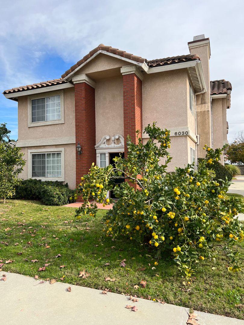 Temple City House: 6030 Camellia Ave