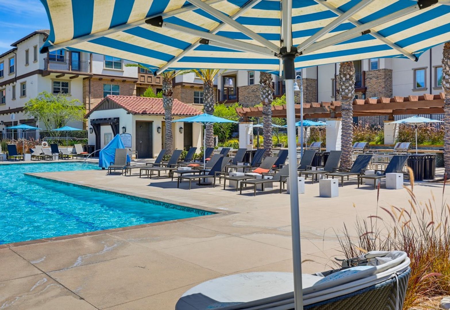Pool at 956 Blackstone Drive (2 of 2)