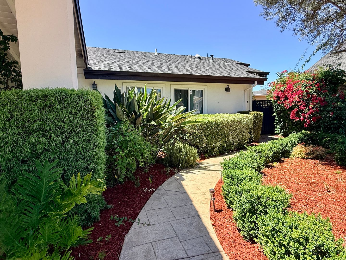 San Jose Multiplex: 1111 Pippin Creek Court