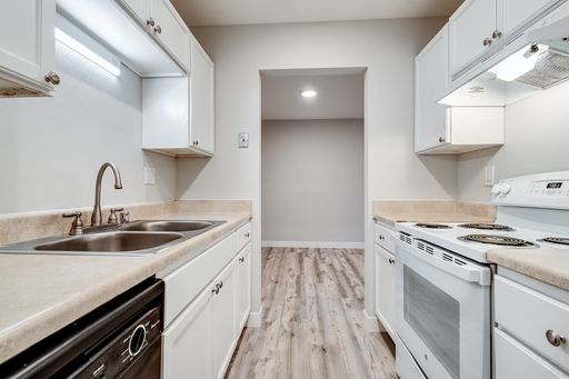 Updated 2 Bed 1 Bath – Heat Included – photo 1