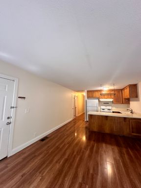 Downtown 4-plex – photo 1