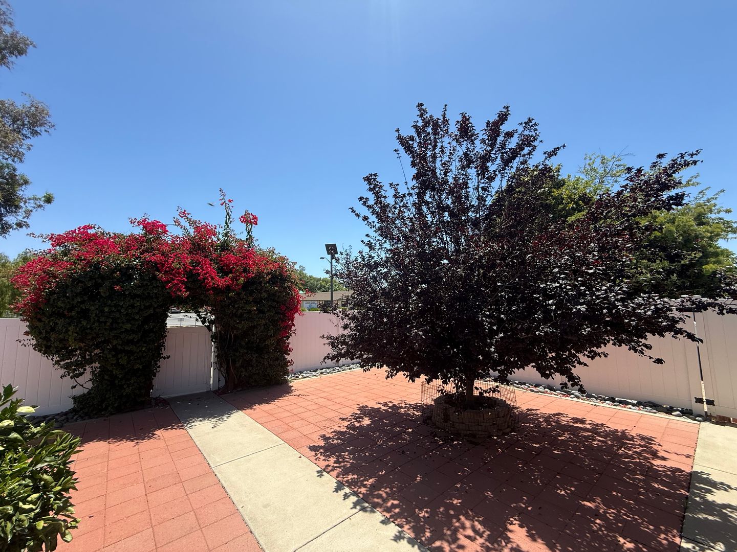 Ramona House: 623 E St