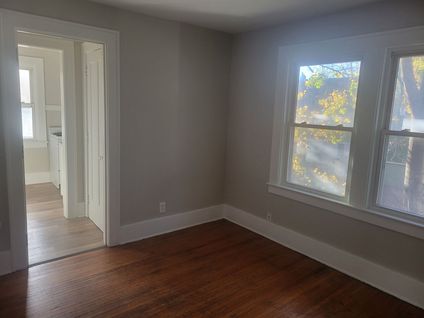 Rochester Apartment: 450 Meigs Street