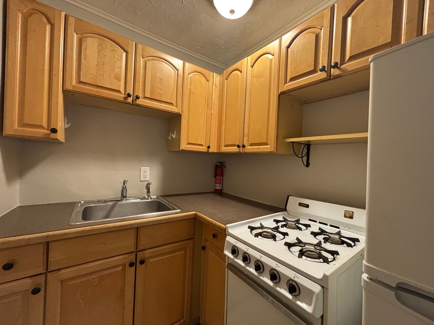 Rochester Apartment: 165 Park Ave